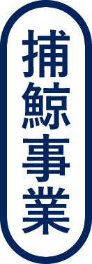 捕鯨事業