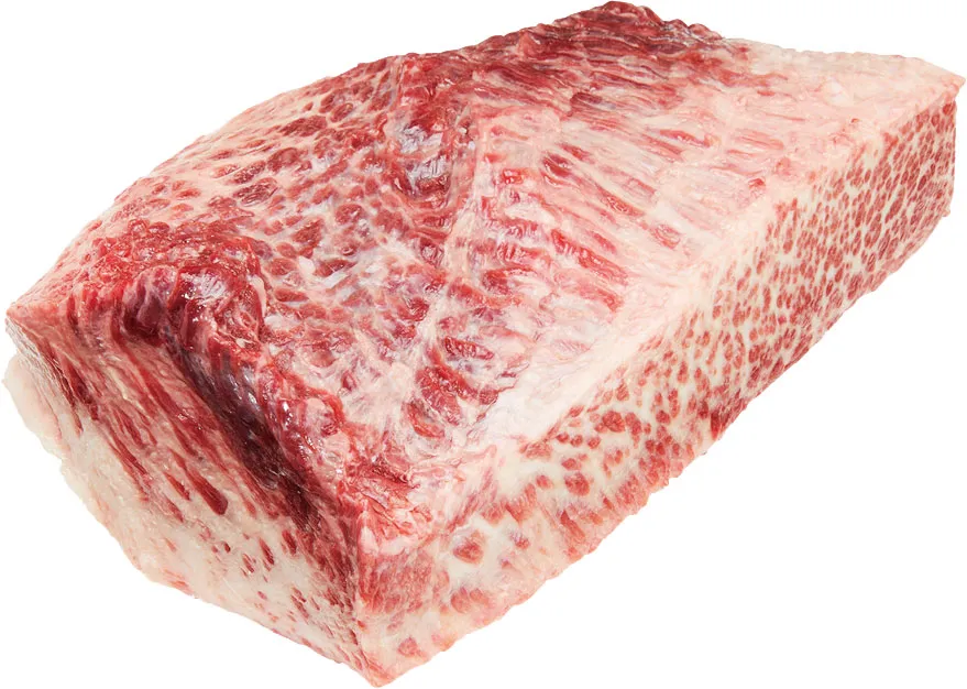 潮吹鹿子