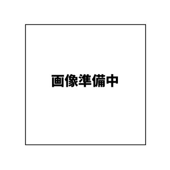 A-プライス 松山店