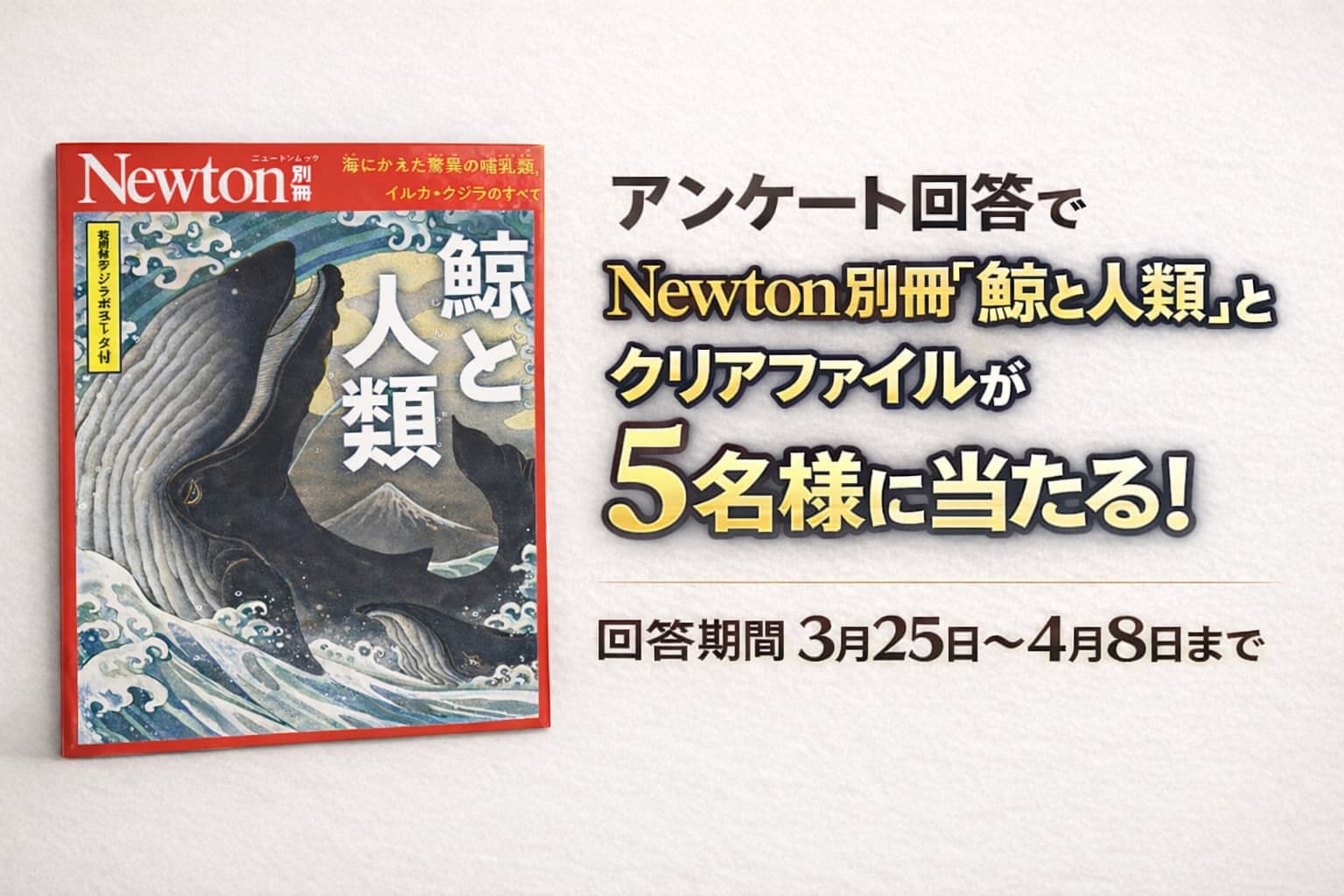【プレゼント企画】アンケート回答でNewton別冊『鯨と人類』とクリアファイルが当たる！