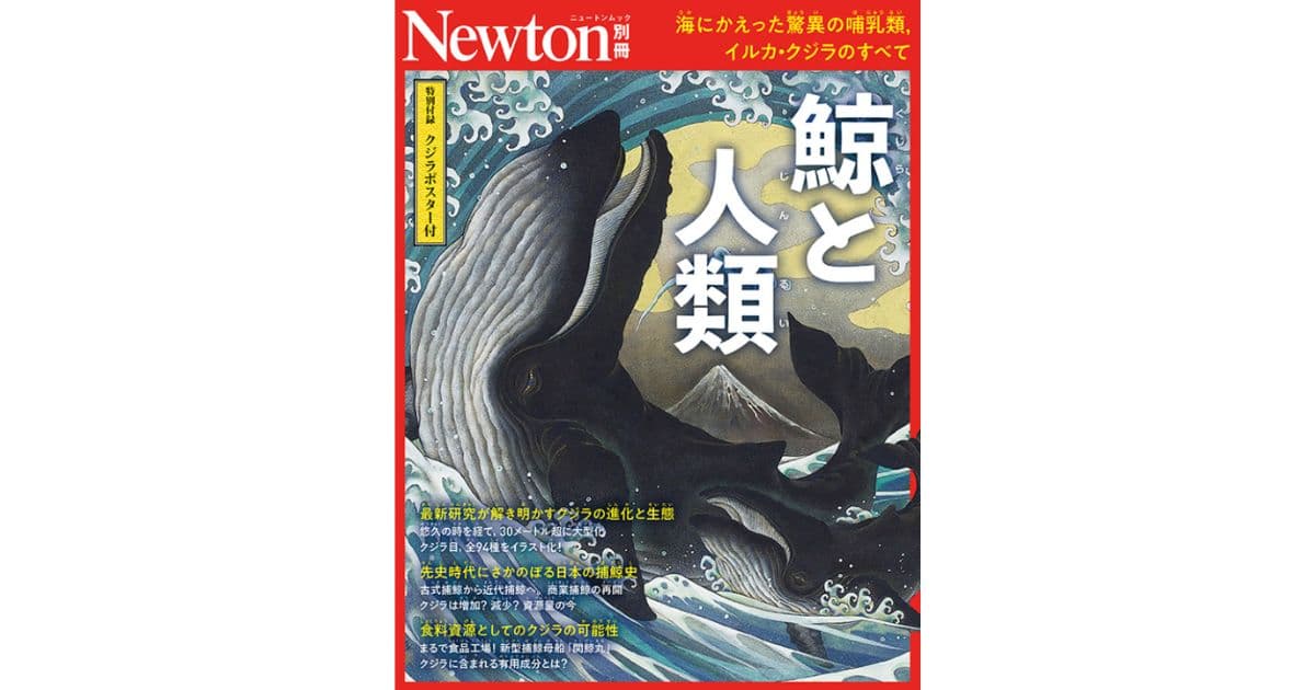 Newton別冊『鯨と人類』に共同船舶の研究が掲載されました！